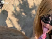 Zoophilia XXX Movie - Horny slut walks her dog before getting fucked